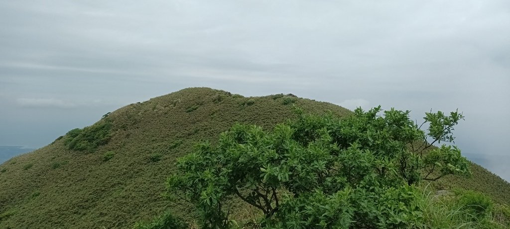 1120427小觀音山群峰Y型來回(下篇)~大屯山鞍部停車場