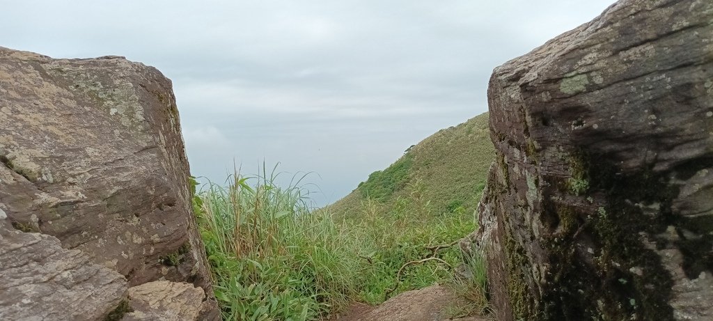 1120427小觀音山群峰Y型來回(下篇)~大屯山鞍部停車場