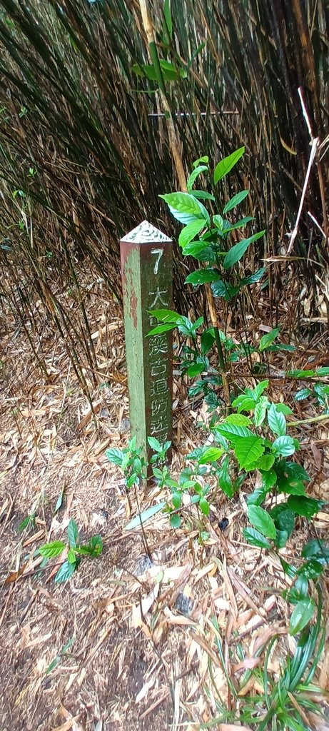 1120427小觀音山群峰Y型來回(下篇)~大屯山鞍部停車場