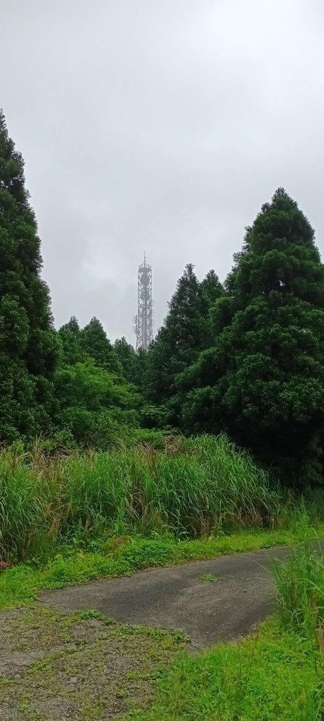 1120427小觀音山群峰Y型來回(下篇)~大屯山鞍部停車場