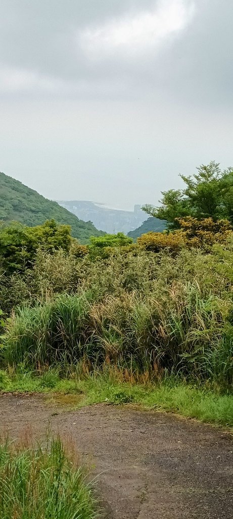 1120427小觀音山群峰Y型來回(下篇)~大屯山鞍部停車場