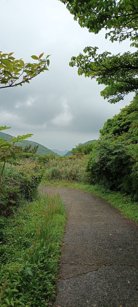 1120427小觀音山群峰Y型來回(下篇)~大屯山鞍部停車場