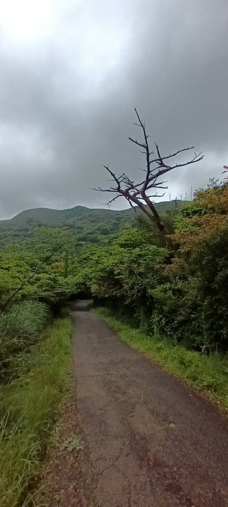 1120427小觀音山群峰Y型來回(下篇)~大屯山鞍部停車場