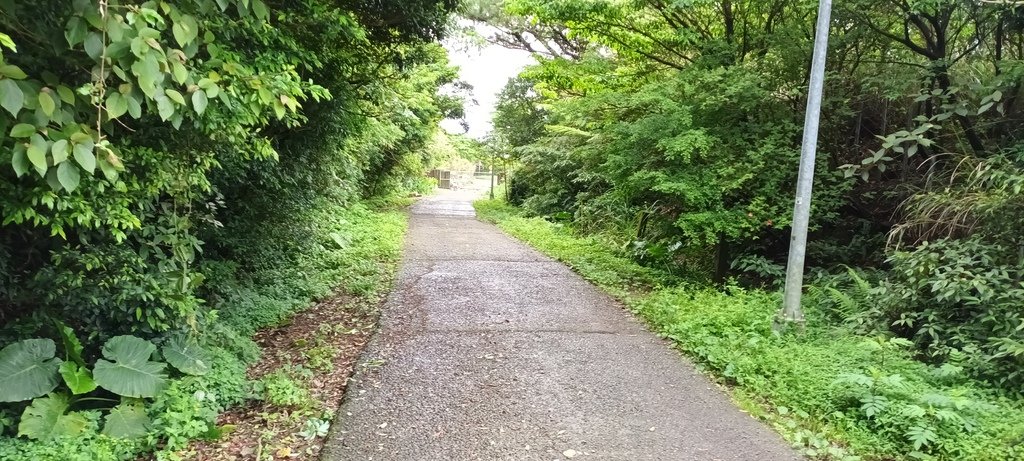 1120427小觀音山群峰Y型來回(下篇)~大屯山鞍部停車場