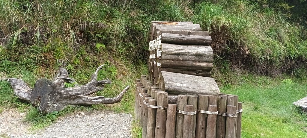 1120826太平山國家森林遊樂區翠峰湖環山(湖)步道健行，