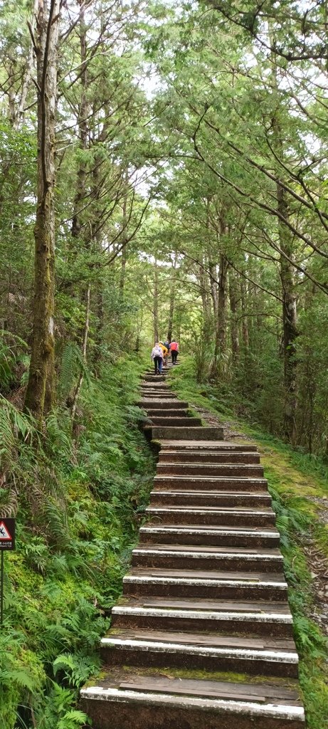 1120826太平山國家森林遊樂區翠峰湖環山(湖)步道健行，