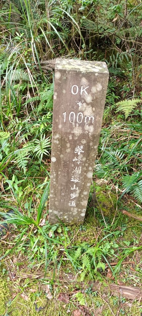 1120826太平山國家森林遊樂區翠峰湖環山(湖)步道健行，