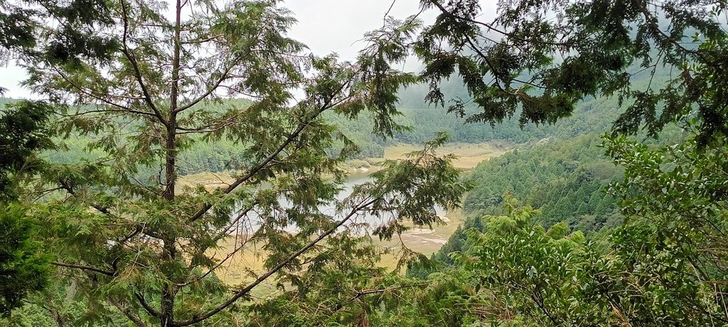 1120826太平山國家森林遊樂區翠峰湖環山(湖)步道健行，