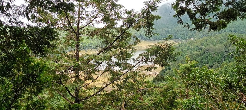 1120826太平山國家森林遊樂區翠峰湖環山(湖)步道健行，