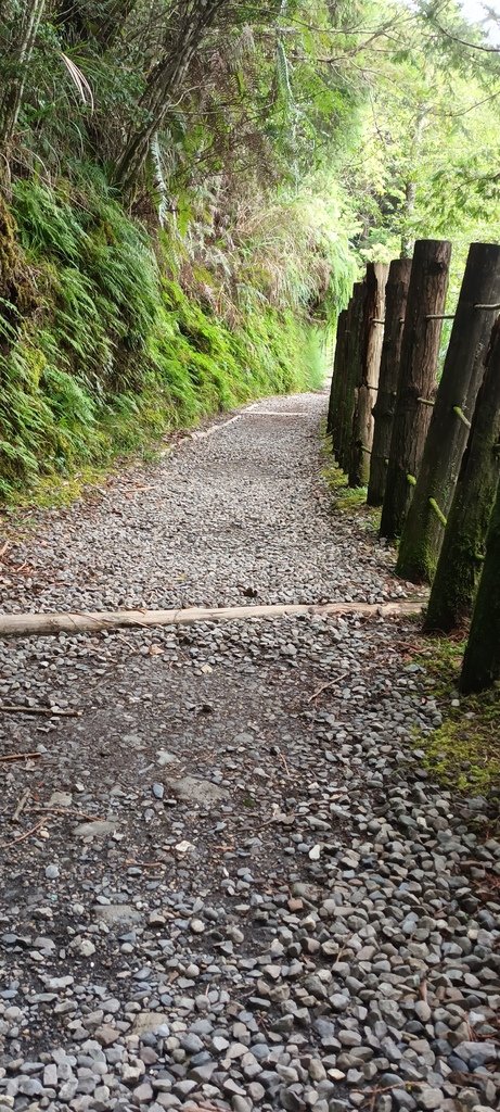 1120826太平山國家森林遊樂區翠峰湖環山(湖)步道健行，