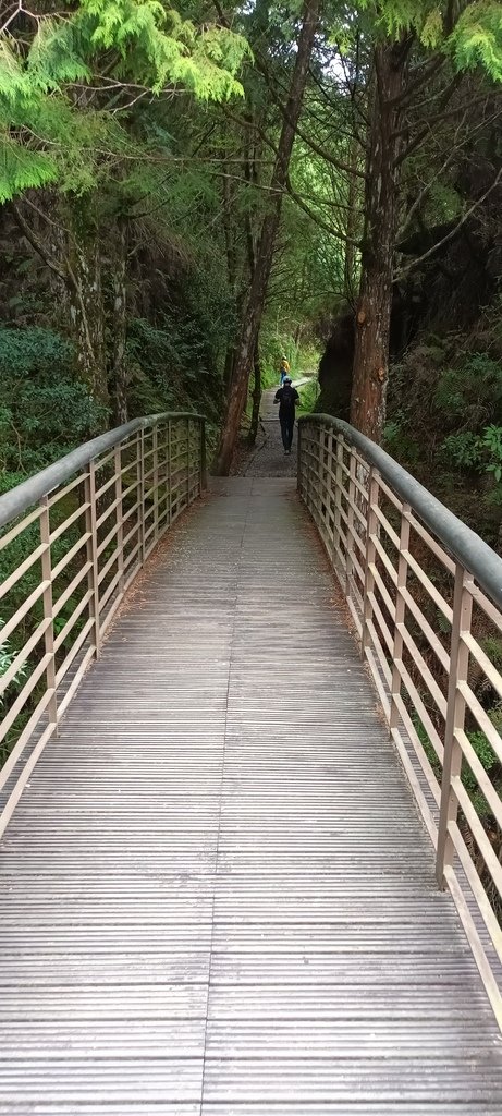 1120826太平山國家森林遊樂區翠峰湖環山(湖)步道健行，