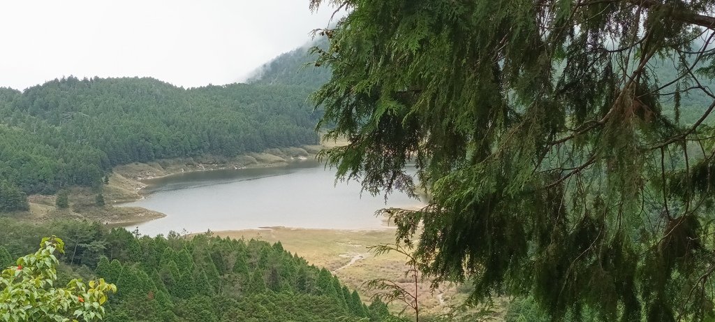 1120826太平山國家森林遊樂區翠峰湖環山(湖)步道健行，