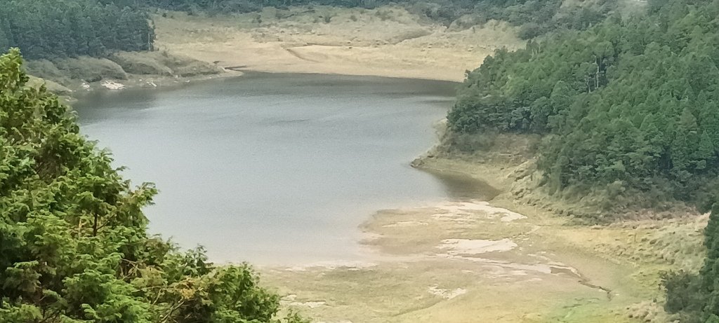 1120826太平山國家森林遊樂區翠峰湖環山(湖)步道健行，