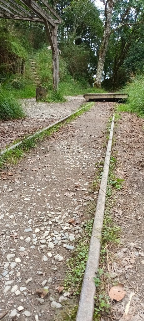 1120826太平山國家森林遊樂區翠峰湖環山(湖)步道健行，