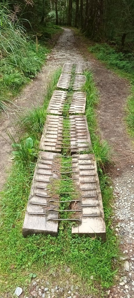 1120826太平山國家森林遊樂區翠峰湖環山(湖)步道健行，