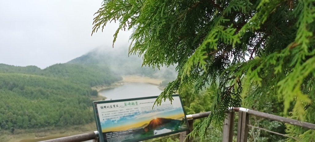 1120826太平山國家森林遊樂區翠峰湖環山(湖)步道健行，