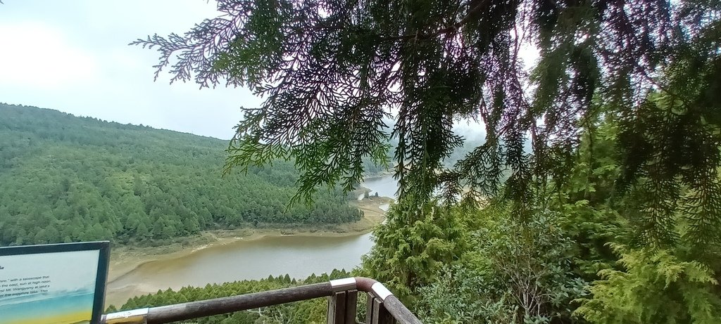 1120826太平山國家森林遊樂區翠峰湖環山(湖)步道健行，