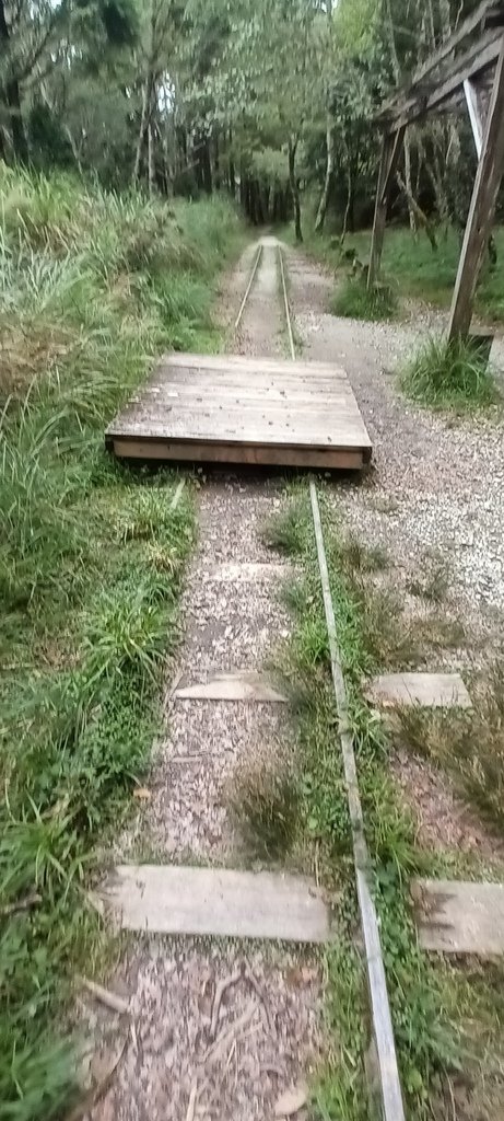 1120826太平山國家森林遊樂區翠峰湖環山(湖)步道健行，