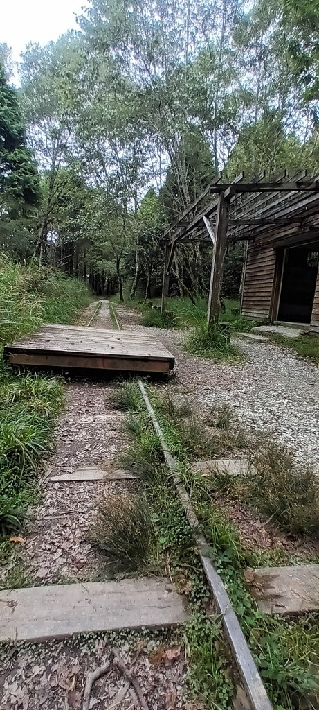 1120826太平山國家森林遊樂區翠峰湖環山(湖)步道健行，