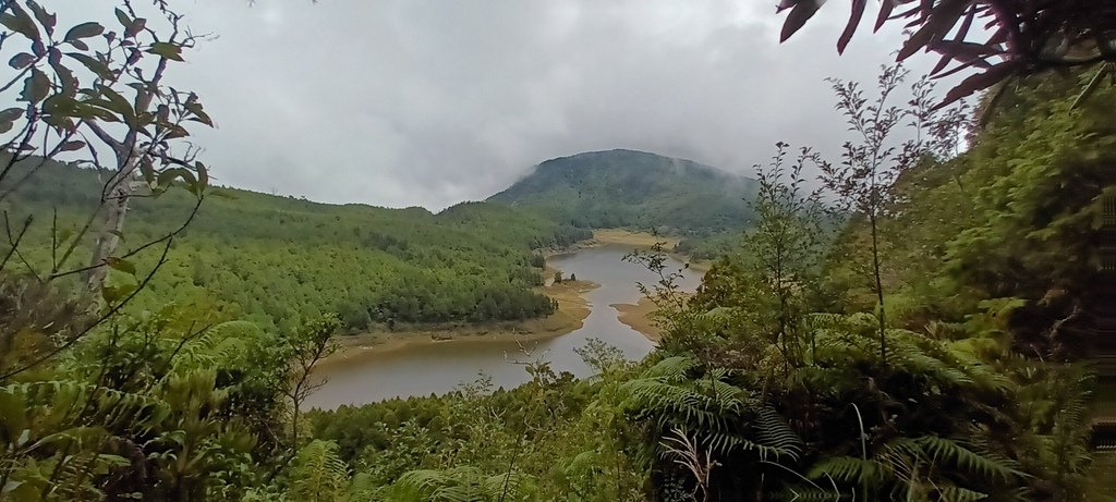 1120826太平山國家森林遊樂區翠峰湖環山(湖)步道健行，