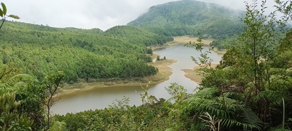 1120826太平山國家森林遊樂區翠峰湖環山(湖)步道健行，