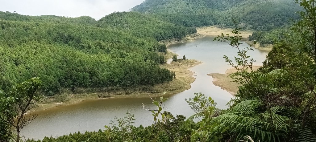 1120826太平山國家森林遊樂區翠峰湖環山(湖)步道健行，