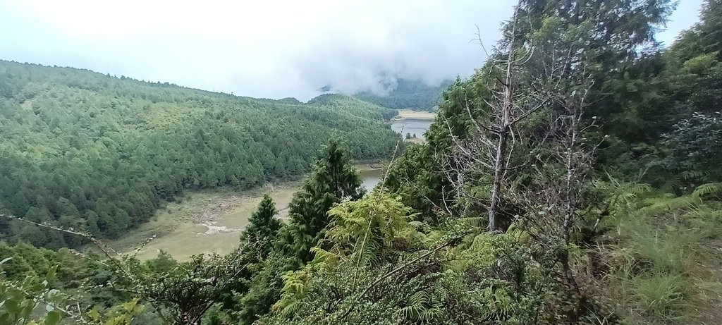 1120826太平山國家森林遊樂區翠峰湖環山(湖)步道健行，