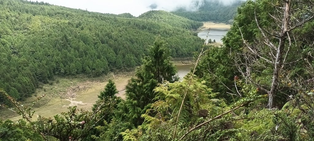 1120826太平山國家森林遊樂區翠峰湖環山(湖)步道健行，