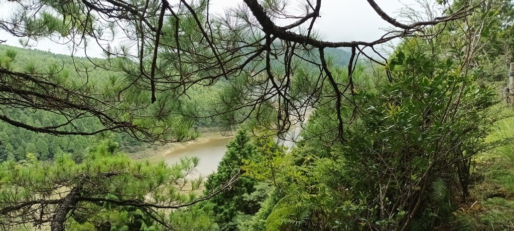 1120826太平山國家森林遊樂區翠峰湖環山(湖)步道健行，