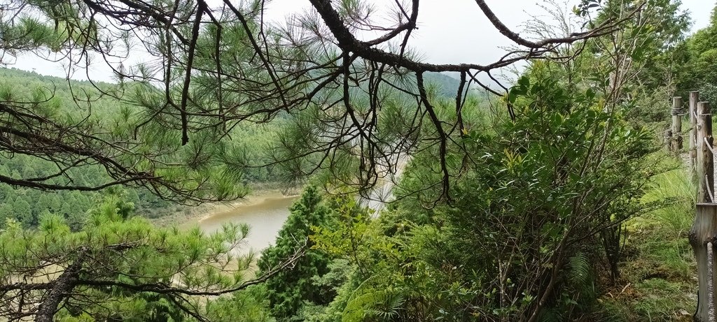 1120826太平山國家森林遊樂區翠峰湖環山(湖)步道健行，