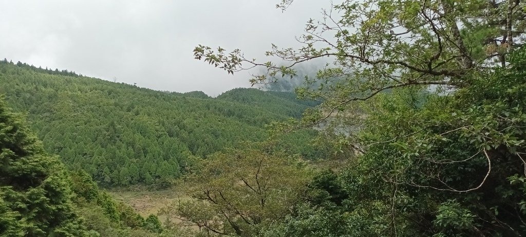 1120826太平山國家森林遊樂區翠峰湖環山(湖)步道健行，