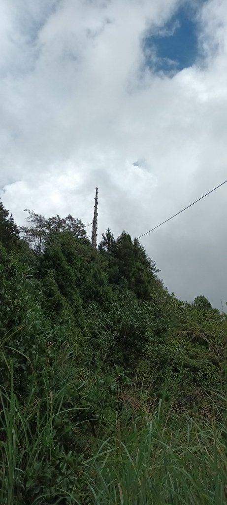 1120826太平山國家森林遊樂區翠峰湖環山(湖)步道健行，