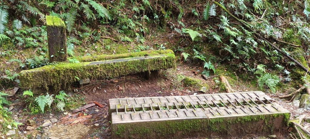 1120826太平山國家森林遊樂區翠峰湖環山(湖)步道健行，