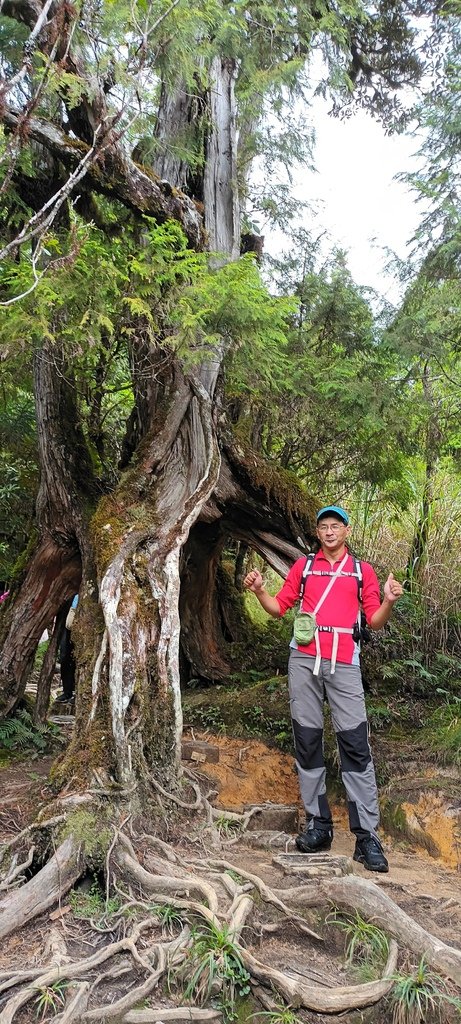 1120826太平山國家森林遊樂區翠峰湖環山(湖)步道健行，