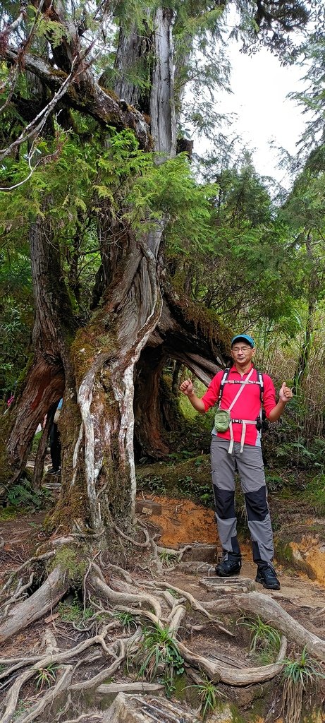 1120826太平山國家森林遊樂區翠峰湖環山(湖)步道健行，