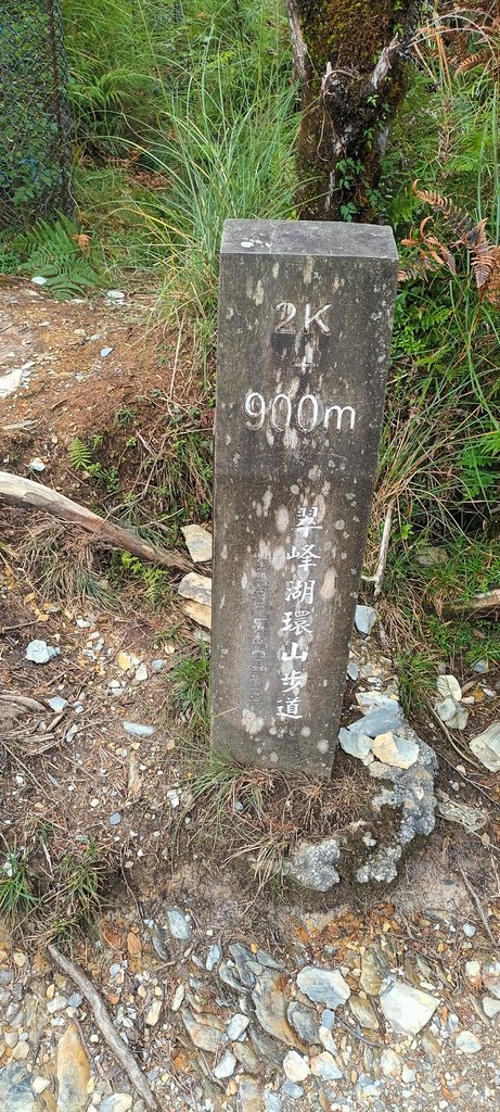 1120826太平山國家森林遊樂區翠峰湖環山(湖)步道健行，