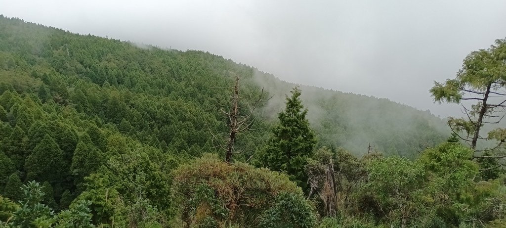 1120826太平山國家森林遊樂區翠峰湖環山(湖)步道健行，