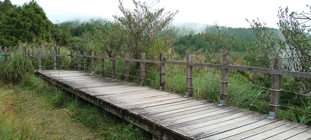 1120826太平山國家森林遊樂區翠峰湖環山(湖)步道健行，