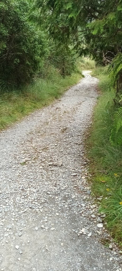 1120826太平山國家森林遊樂區翠峰湖環山(湖)步道健行，