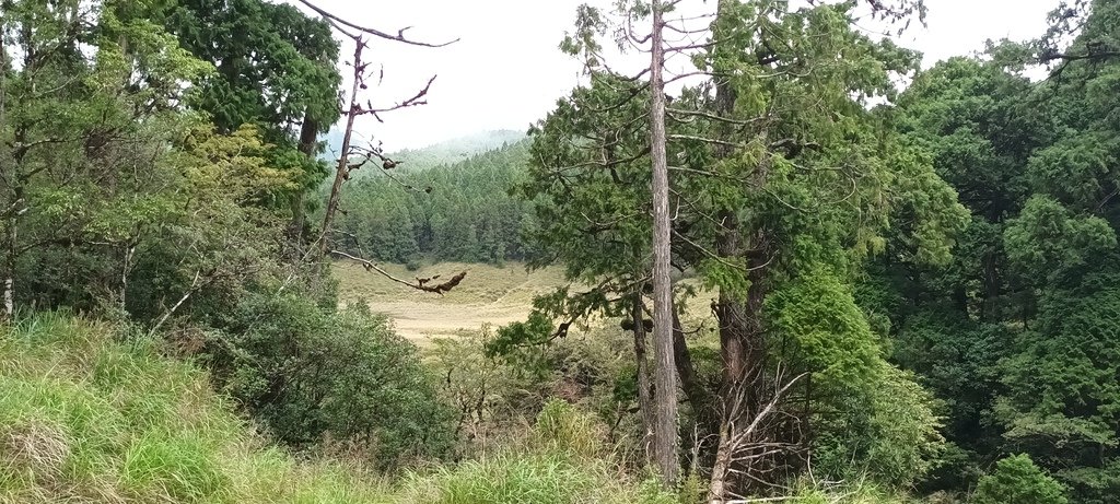 1120826太平山國家森林遊樂區翠峰湖環山(湖)步道健行，