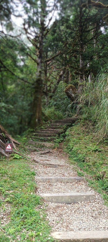 1120826太平山國家森林遊樂區翠峰湖環山(湖)步道健行，