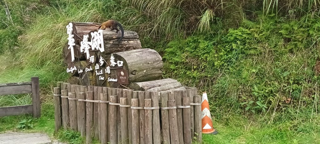 1120826太平山國家森林遊樂區翠峰湖環山(湖)步道健行，