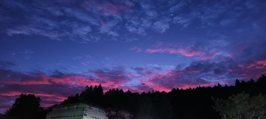 1121020～21阿里山夜未眠、玉山觀日神木森林浴一日一夜