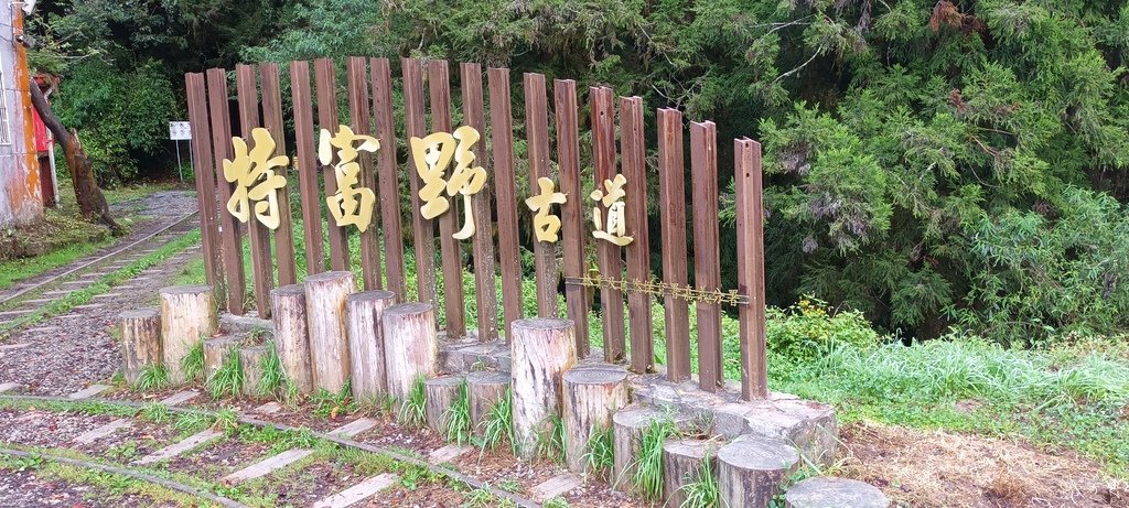 1121020～21阿里山夜未眠、玉山觀日神木森林浴一日一夜