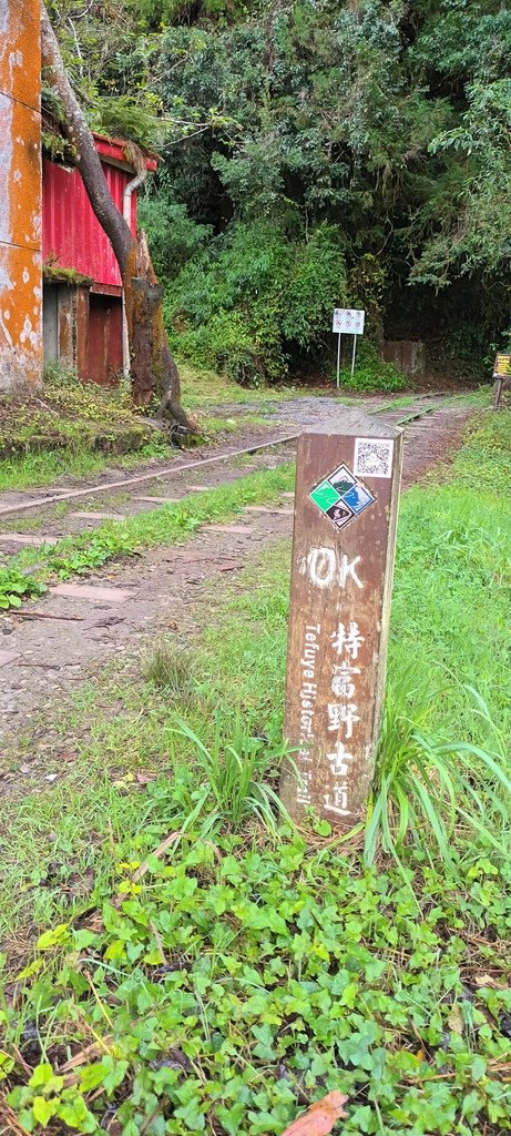 自忠看日出、特富野古道入口處及鹿林神木~