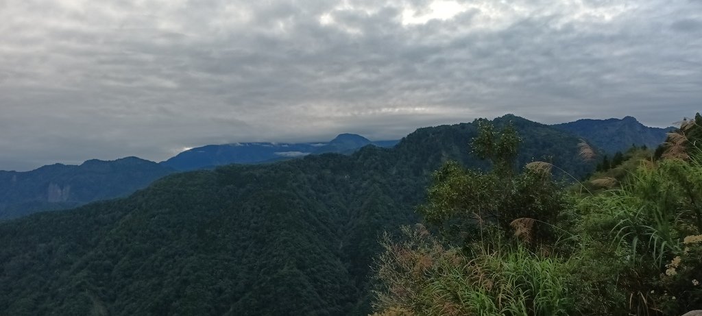 自忠看日出、特富野古道入口處及鹿林神木~