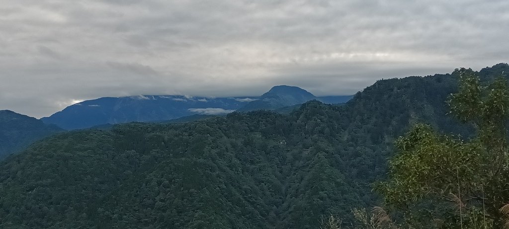 自忠看日出、特富野古道入口處及鹿林神木~