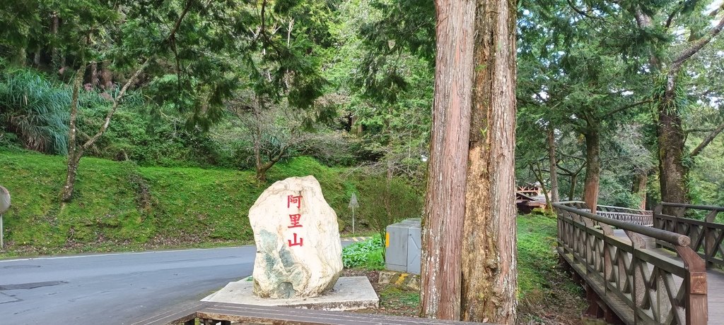 1121020～21阿里山夜未眠、玉山觀日神木森林浴一日一夜