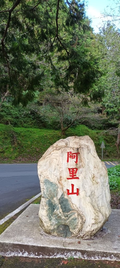 1121020～21阿里山夜未眠、玉山觀日神木森林浴一日一夜