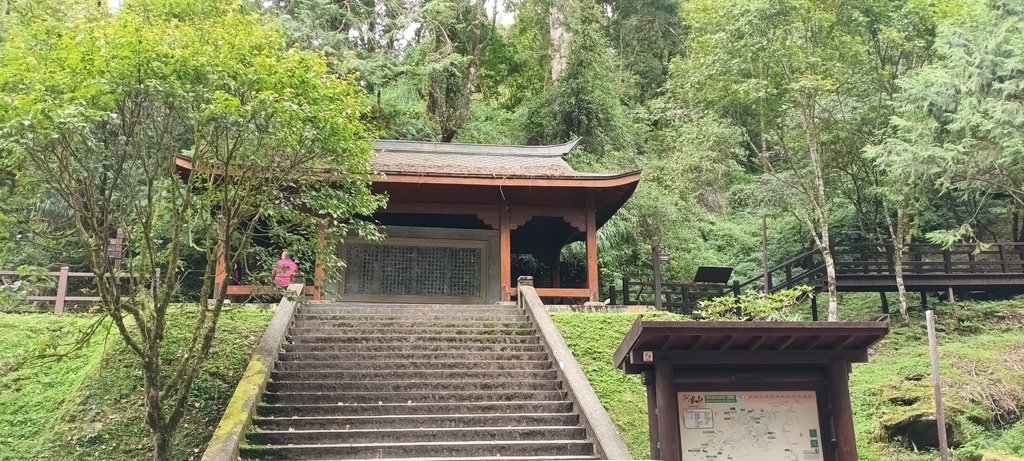 1121020～21阿里山夜未眠、玉山觀日神木森林浴一日一夜